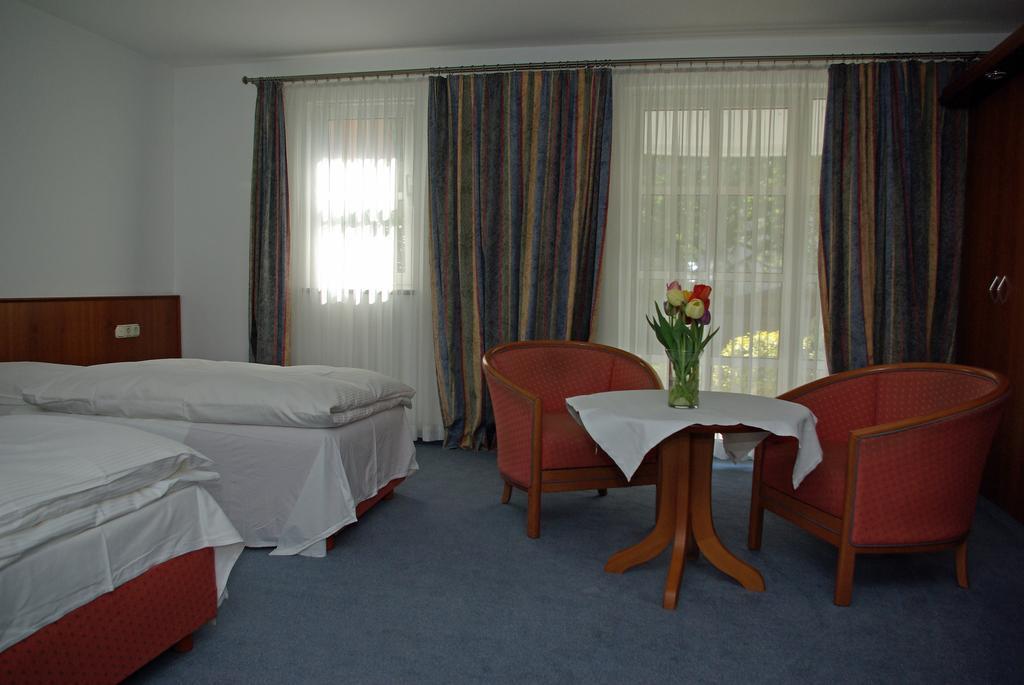 Hotel Alte Bruecke Bad Homburg vor der Höhe Rum bild